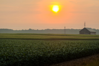 Parajara Moraes Alves Junior