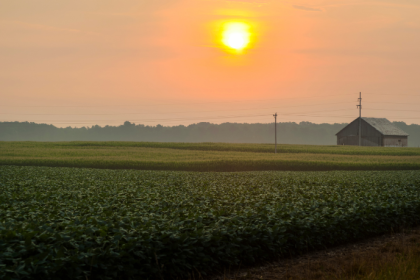 Parajara Moraes Alves Junior