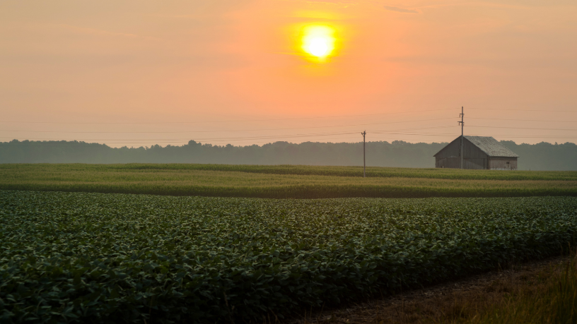 Parajara Moraes Alves Junior