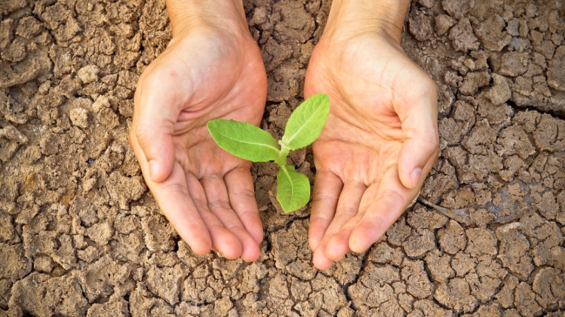 Saiba quais estratégias João Eustáquio De Almeida Junior destaca sobre como a agricultura enfrenta os desafios dos períodos de estiagem.