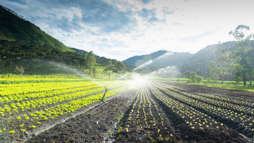 Planejamento e consciência ecológica são, segundo Fabio Jose Gentil Pereira Rosa, as bases para o sucesso da agricultura familiar no novo clima global.